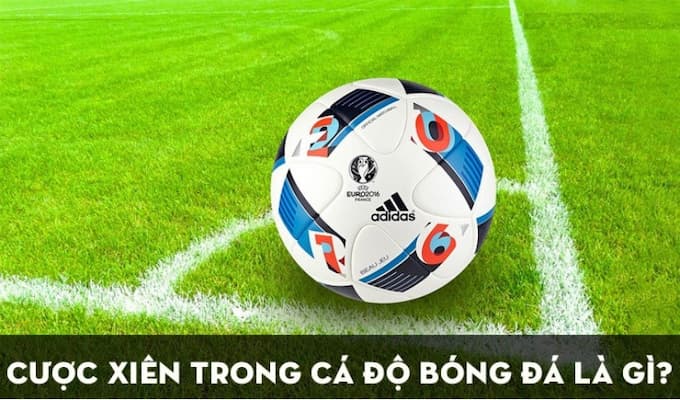 Review Về Hình Thức Cược Xiên Trong Bóng Đá